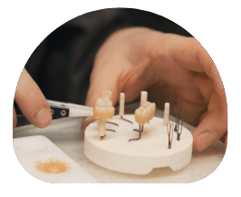 heydents-knochenaufbau